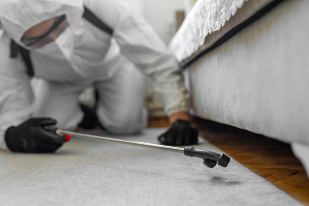 Professional Bed Bug Control technician working in Nashville, IN