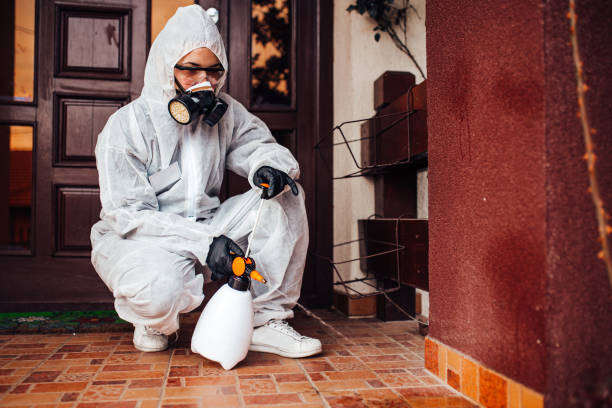 Reliable Bed Bug Control contractor in Nashville, IN by Nex Pest Control