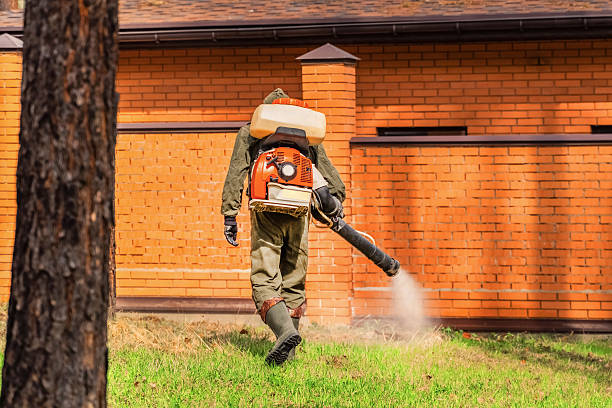 Trusted Cockroach Control service in Nashville, IN - Nex Pest Control